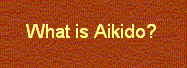 What is Aikido